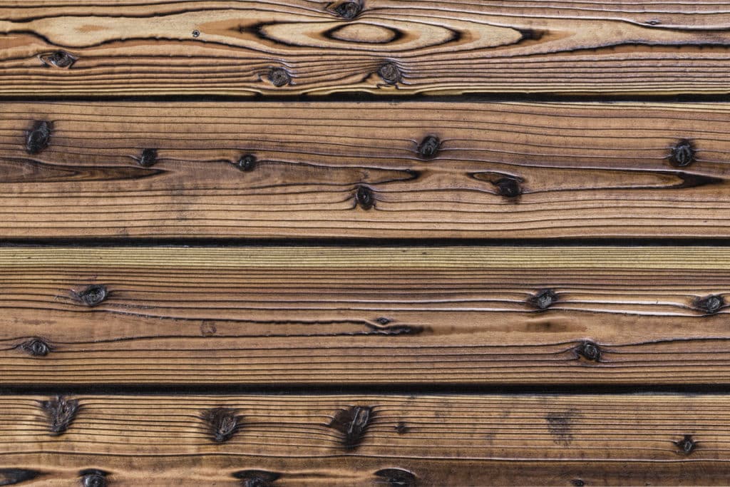 Pika Pika échantillons image de surface #102